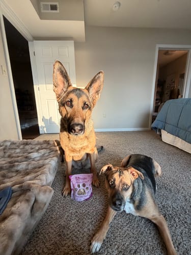 Customer photo review of All Natural Baked Biscuits - 10 oz