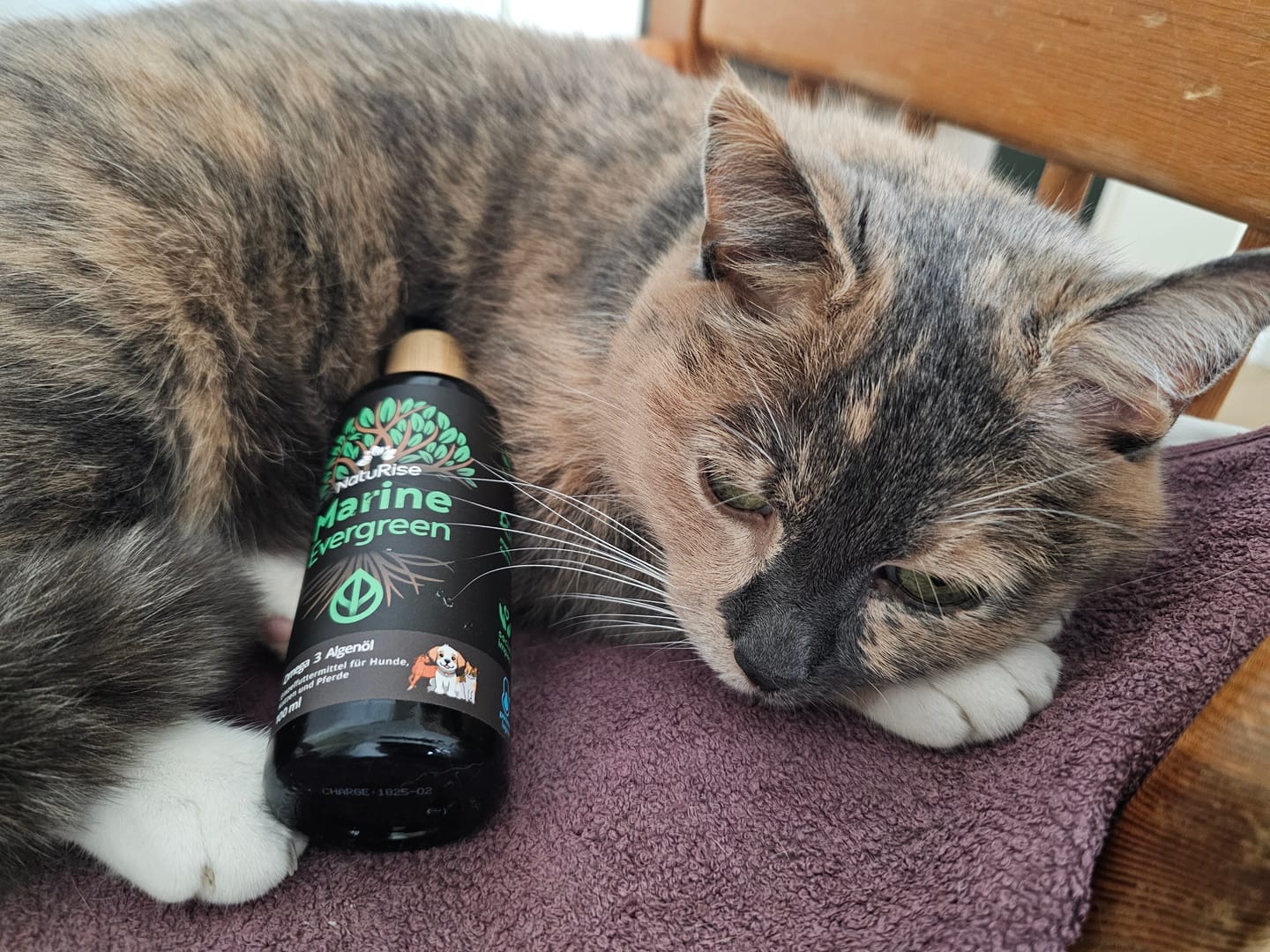 Customer photo review of Omega 3 Algenöl Haustiere