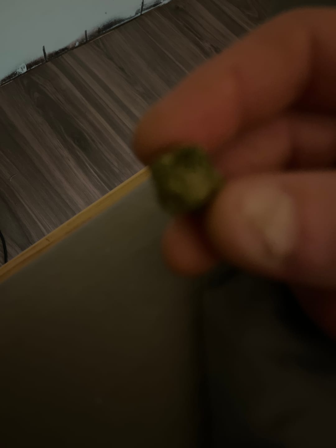 Customer photo review of Lemon Haze Indoor THCA Trim