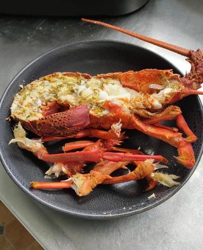 Customer photo review of Live NZ Red Crayfish