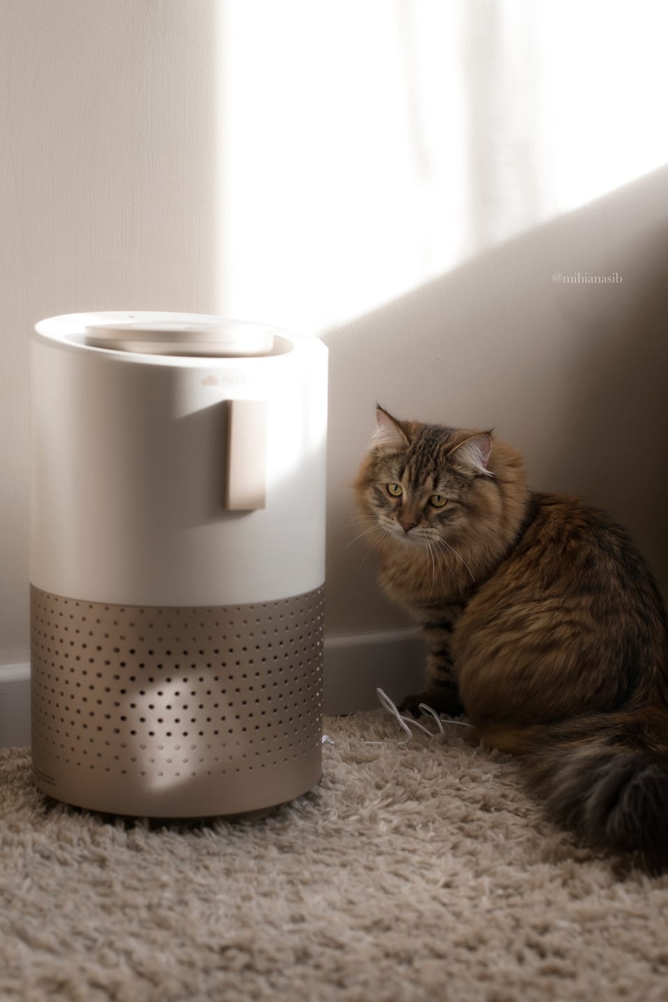 Customer photo review of Pet Air Purifier