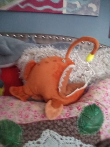 Customer photo review of Anglerfish Soft Stuffed Plush Toy