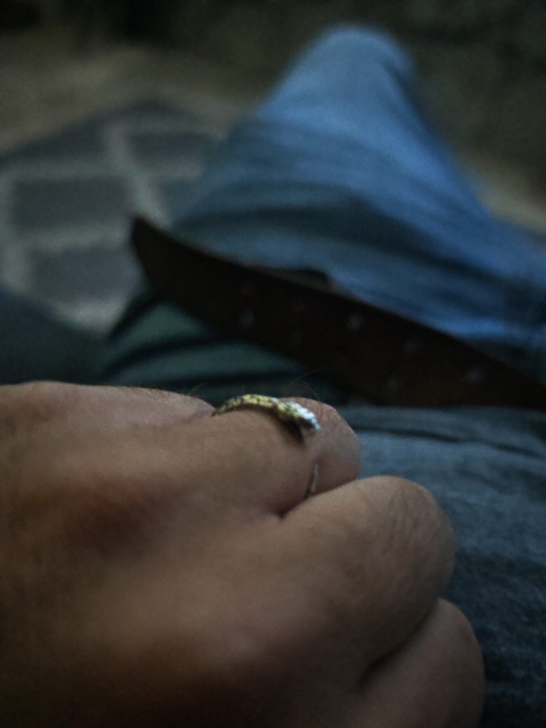 Customer photo review of Anillo Serpiente Cascabel Ajustable Plata 925