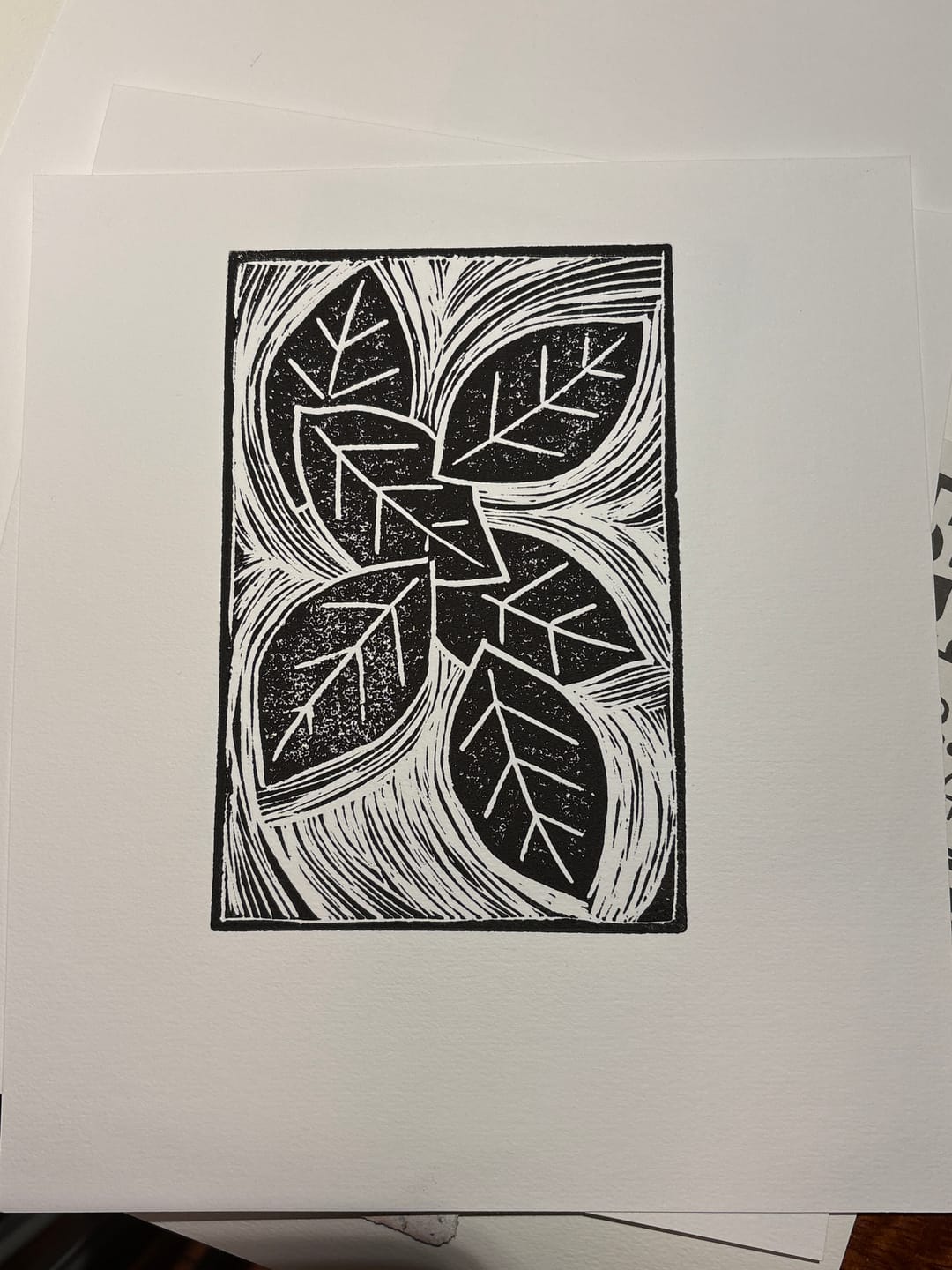 Customer photo review of Artisan Printmaking Hand Lever Press™