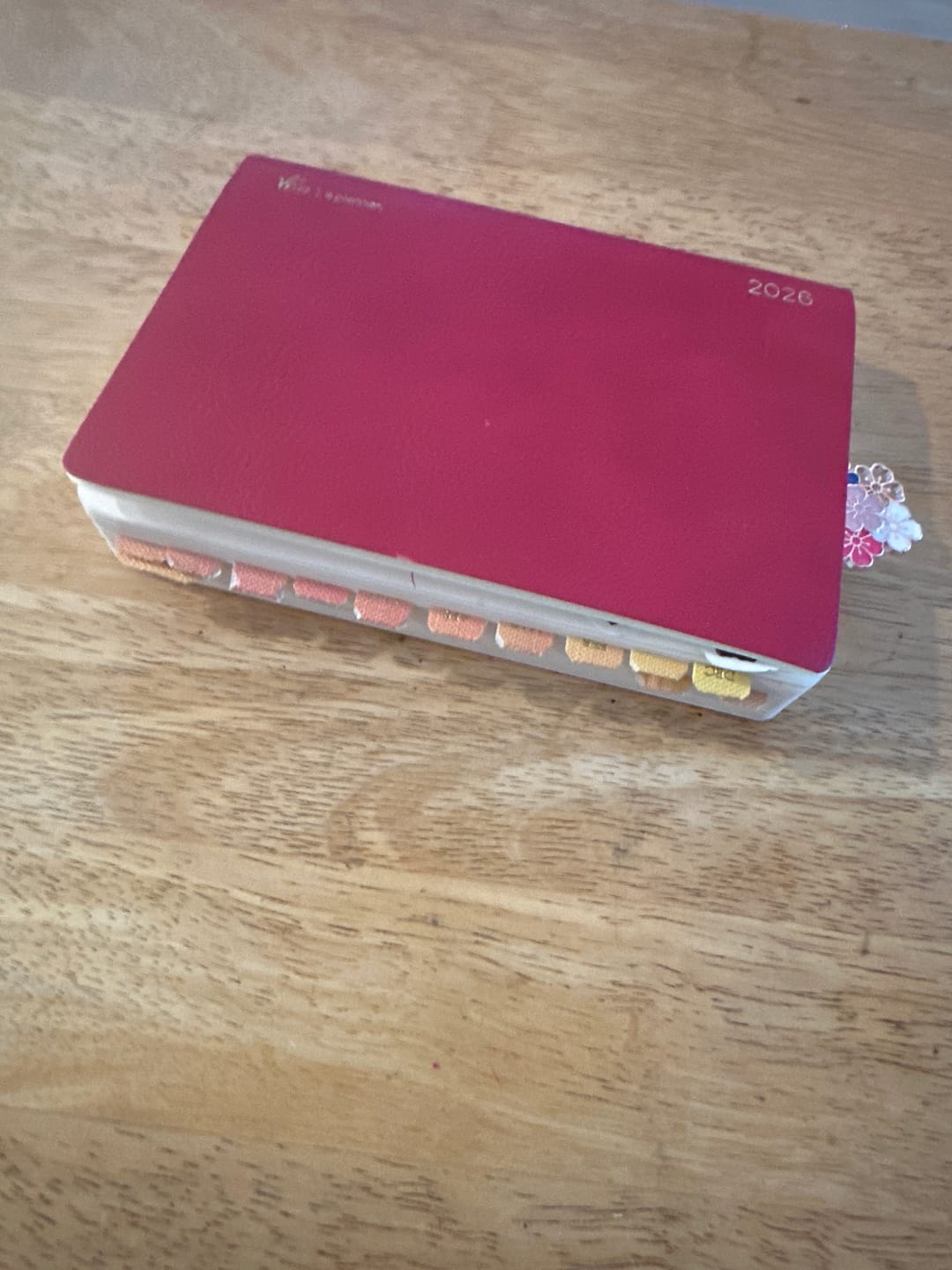 Customer photo review of Monthly Index Tabs