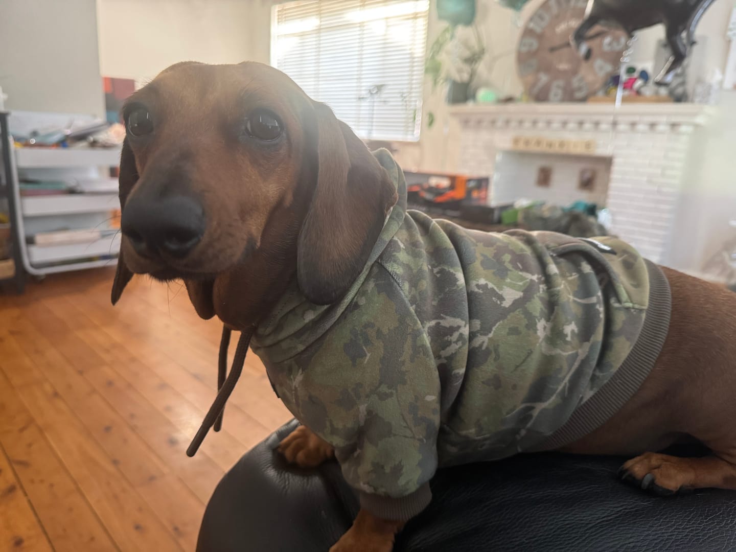 Customer photo review of Camo Human Hoodies