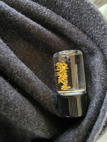 Customer photo review of *TROGO* Flawless '$5,000 GOLD NUGGET DISCOVERY' - Gold Panning Paydirt
