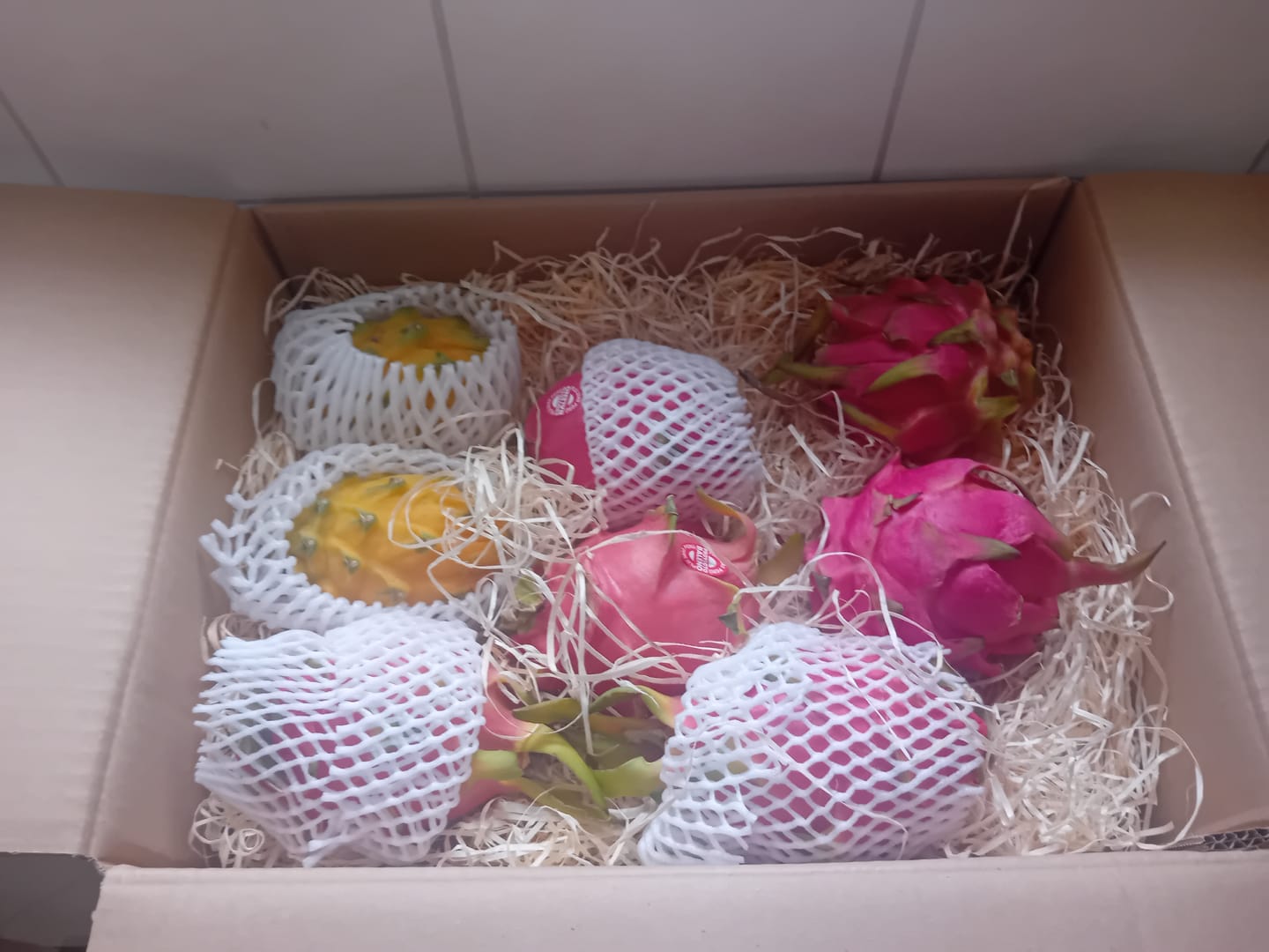Customer photo review of Drachenfrüchte Trio Box Sonderaktion %