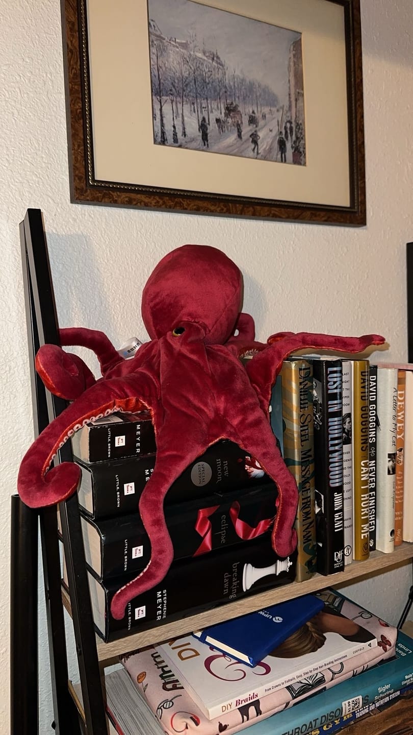 Customer photo review of Red Octopus Soft Stuffed Plush Toy