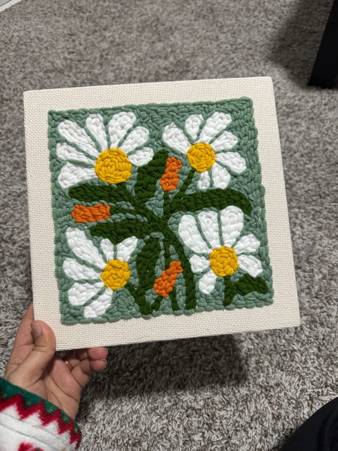 Customer photo review of Daisy Meadow