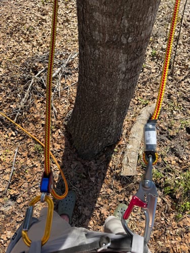 Customer photo review of Arbo Space Iron Braid Wire Core Flipline – 12' with Gibbs Klimair Rope Grab & ISC Double Action Swivel Snaphook