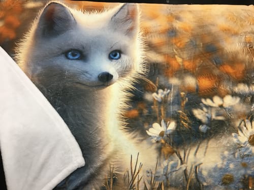 Customer photo review of White Fox Cozy Fleece and Sherpa Blanket Golden Hour Tranquility