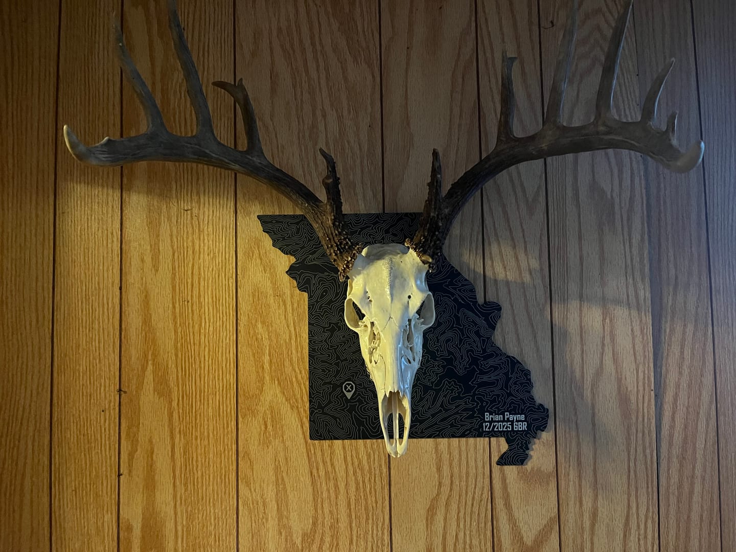 Customer photo review of Medium Game Plaques
