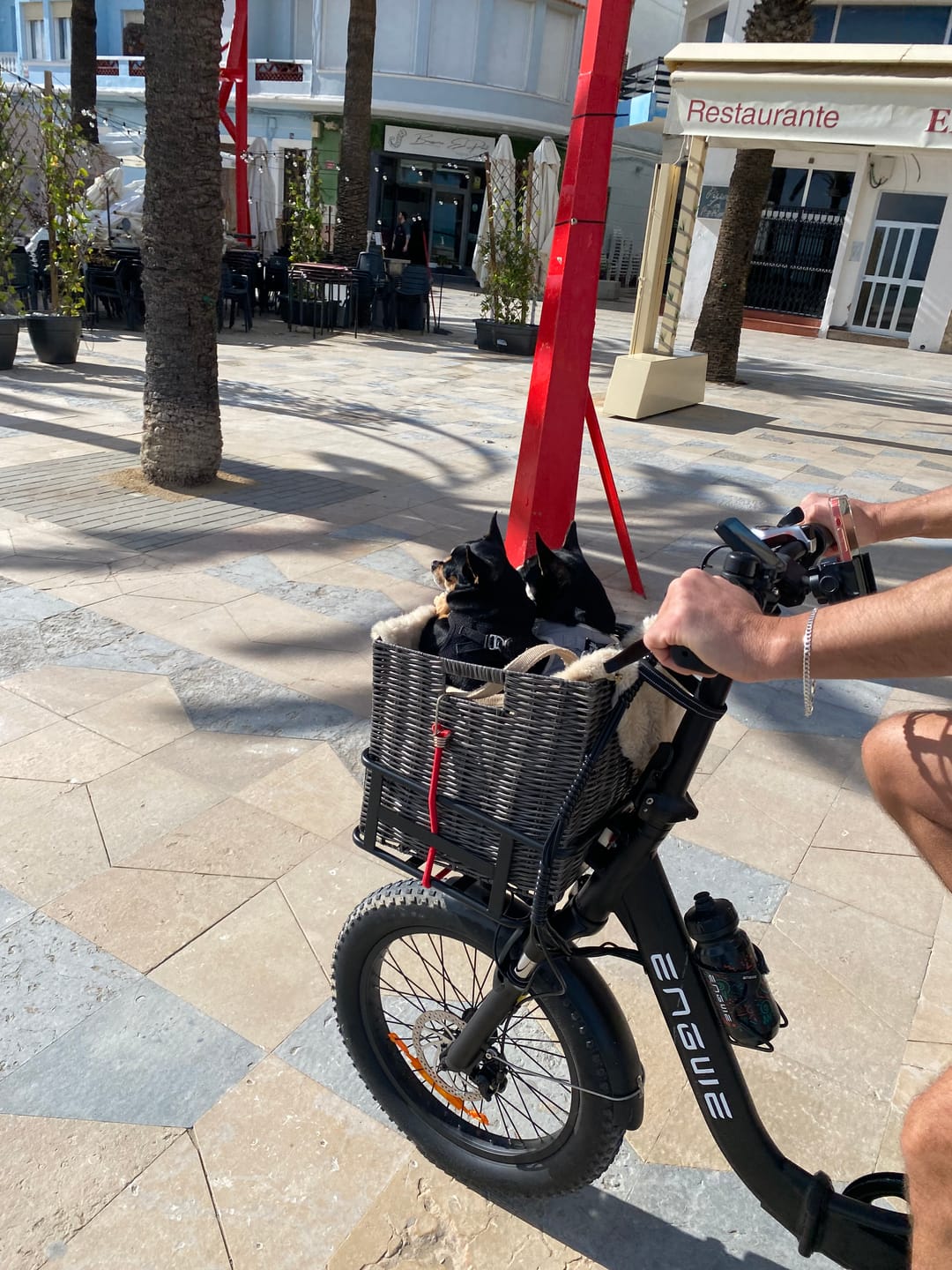 Customer photo review of Engwe L20 SE 250W 20" Foldable Electric Bike 561Wh Trekking Bike Step-through E-bike 36V 15.6Ah Battery
