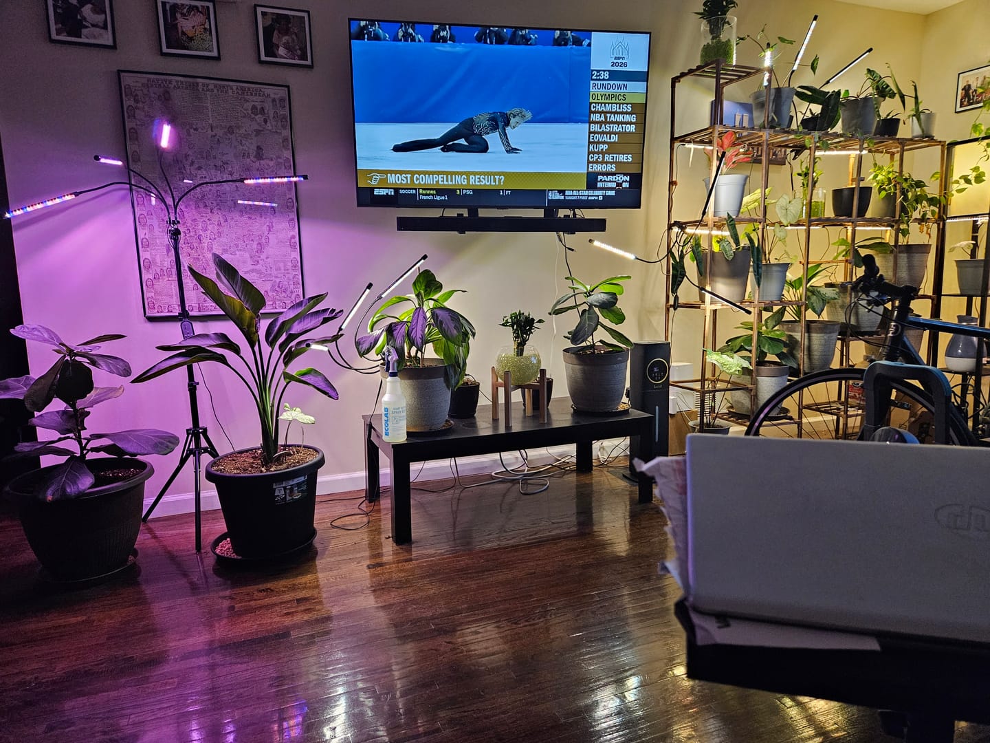 Customer photo review of Plant Care Kit for Indoor Plants