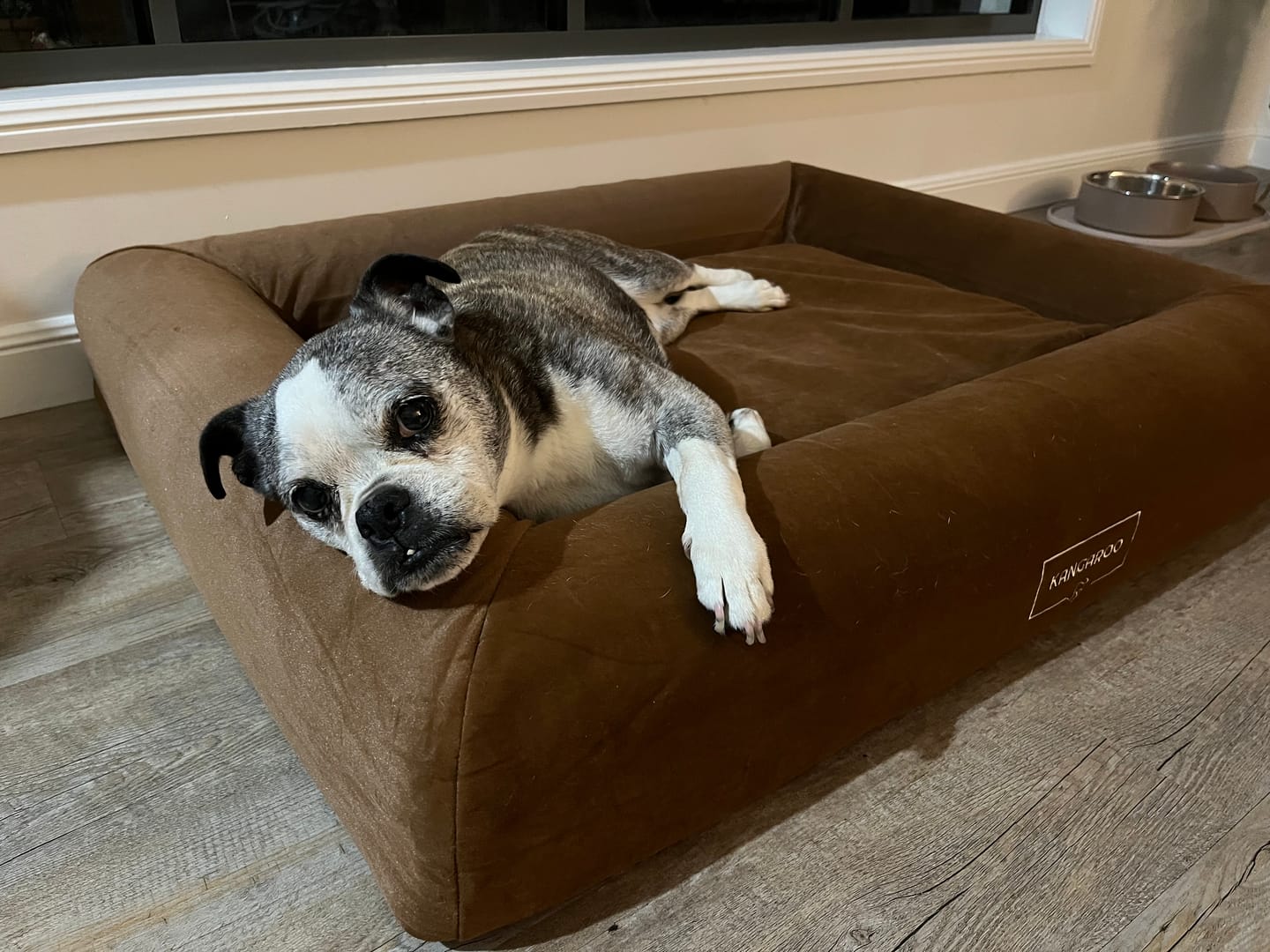 Customer photo review of Orthopaedic Memory Foam Dog Bed