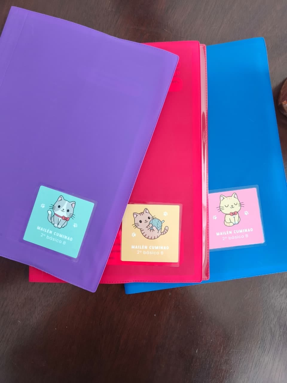 Customer photo review of Etiquetas escolares "Gatitos M1"