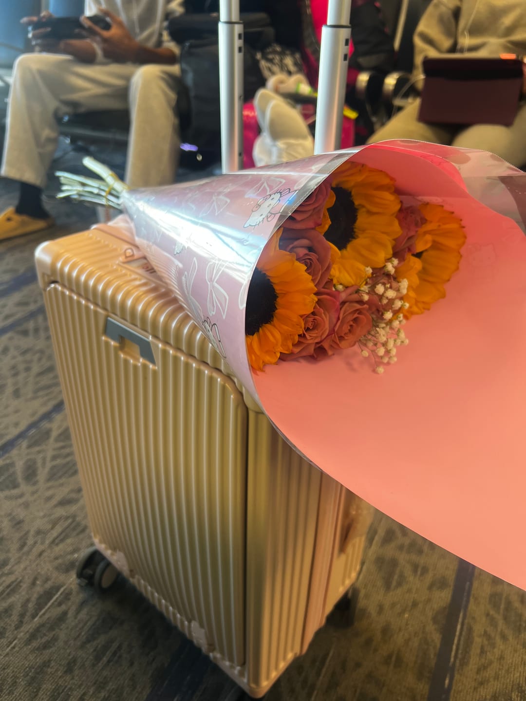 Customer photo review of Carry-On: All-in-One Expandable