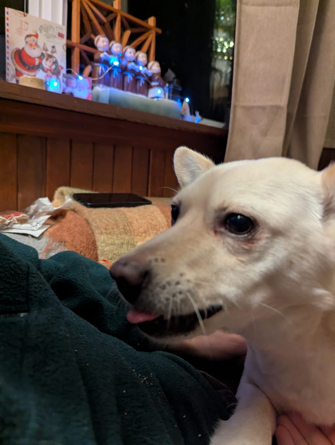 Customer photo review of Himalayan Yak Chew (MEDIUM)