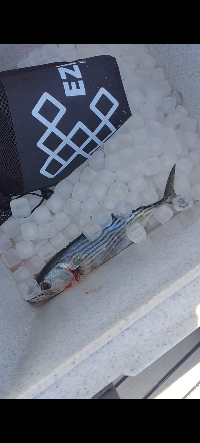 Customer photo review of Mega Freeze Clear - 5kg Bag
