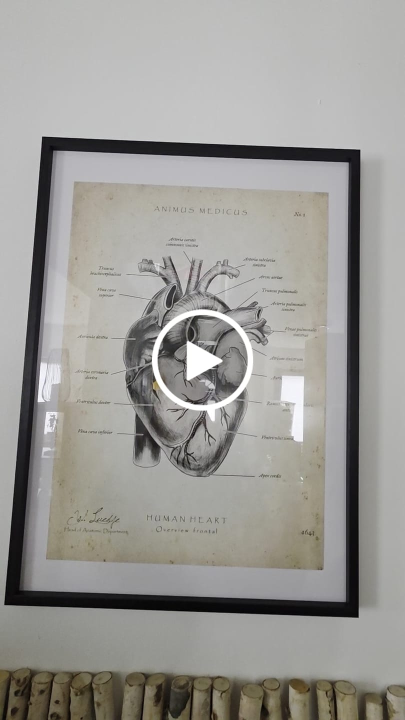 Customer video review of Herz Anatomie