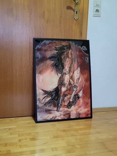 Customer photo review of 5D Diamond Painting – Das braune Pferd