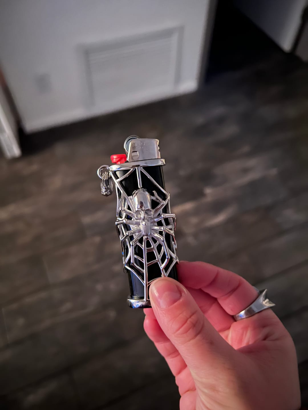 Customer photo review of SPIDER LIGHTER CASE