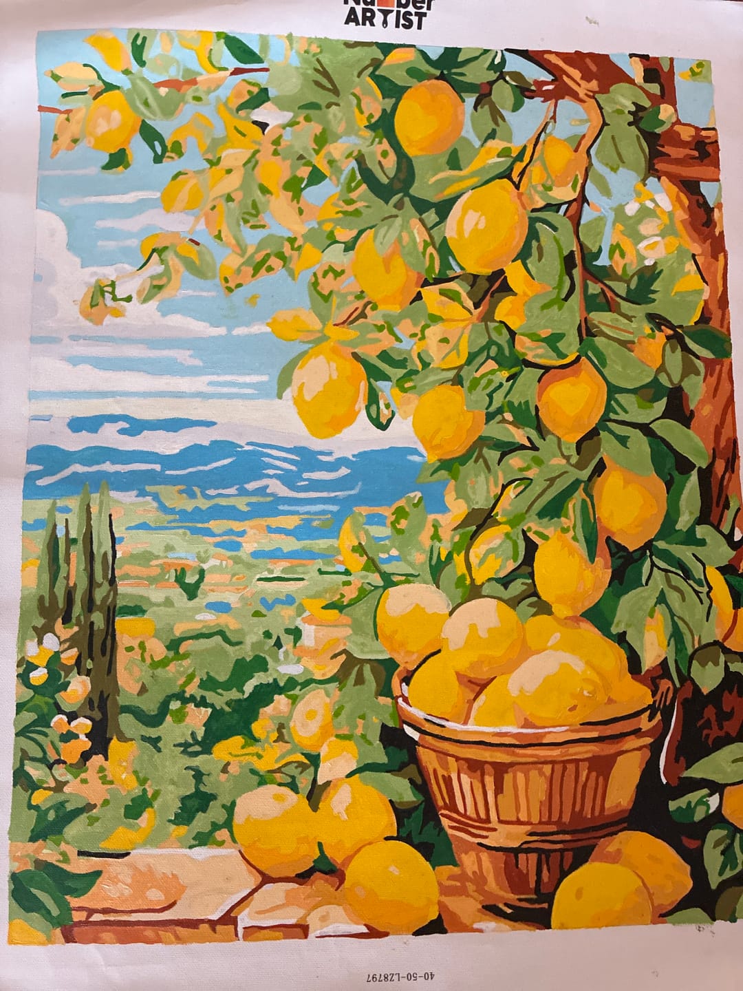 Customer photo review of Bounty Lemons