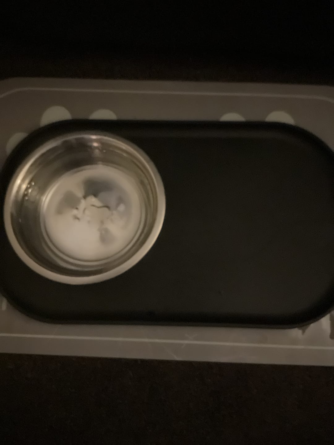 Customer photo review of Dog Bowl Non-Slip Protective Mat