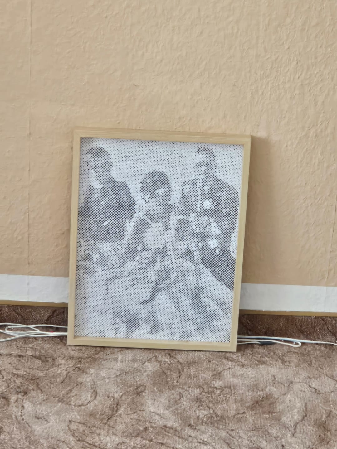 Customer photo review of Custom Photo Dot Painting Kit