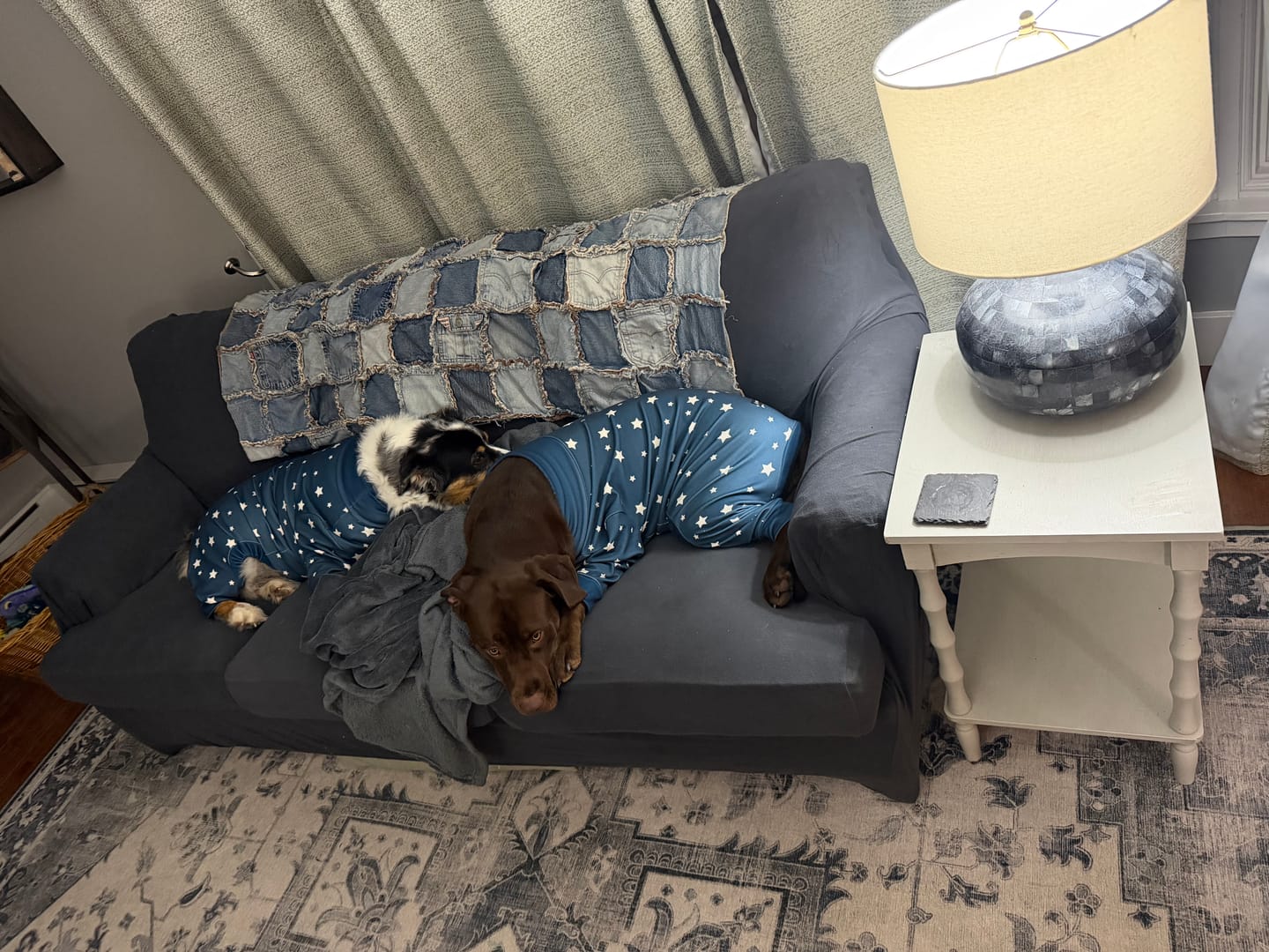 Customer photo review of Dog Pajama Prints