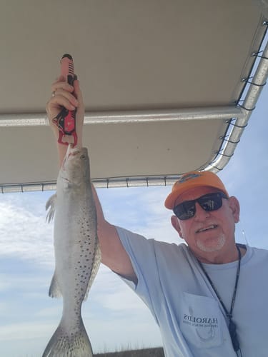 Reviewer on a boat holding a speckled trout caught with the white Berkley Gulp! Paddleshad.