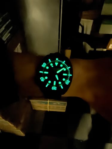 Customer photo review of Titan