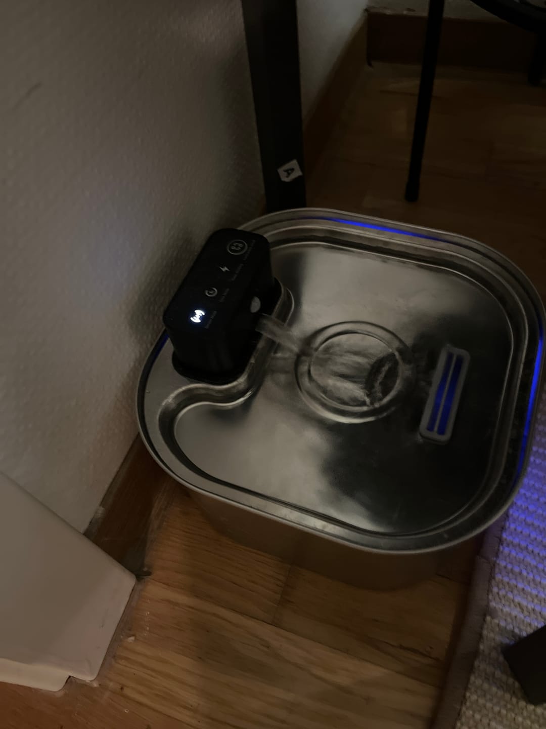 Customer photo review of Filter 24 Monatsvorrat für PfotenBrunnen™