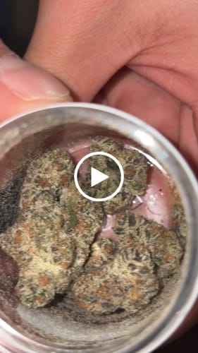 Customer video review of Biscotti Mintz 31% THCA