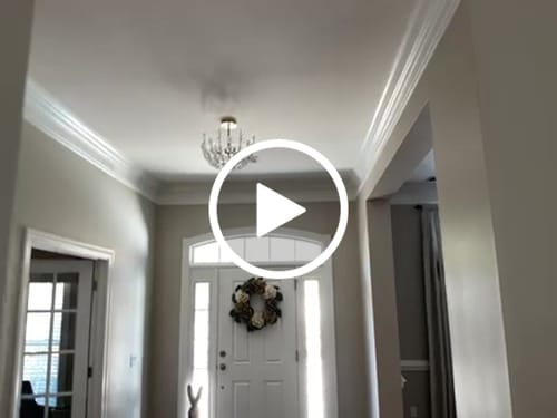 Customer video review of French Sculpture Brass Bloom Glass Floral Semi Flush Mount