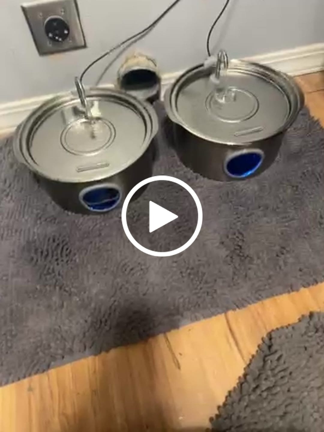 Customer video review of Pawdrate™ Filtered Water Fountain