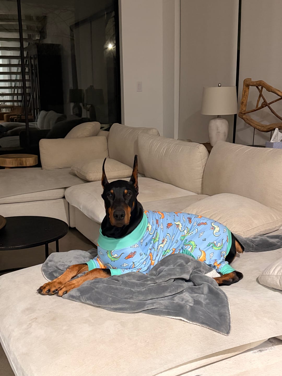 Customer photo review of Dog Pajama - Dragons