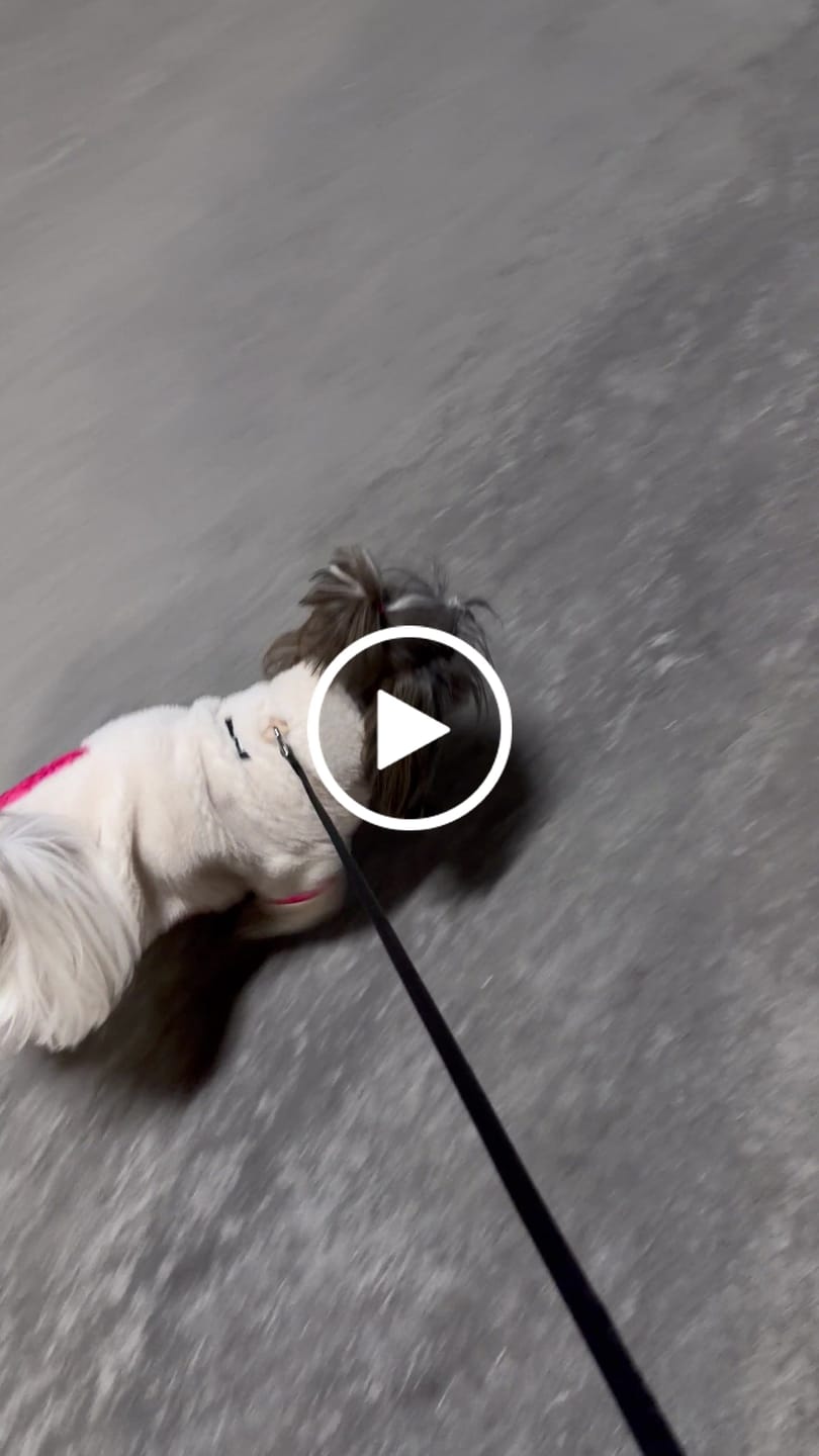 Customer video review of Monkey Fleece Jacket