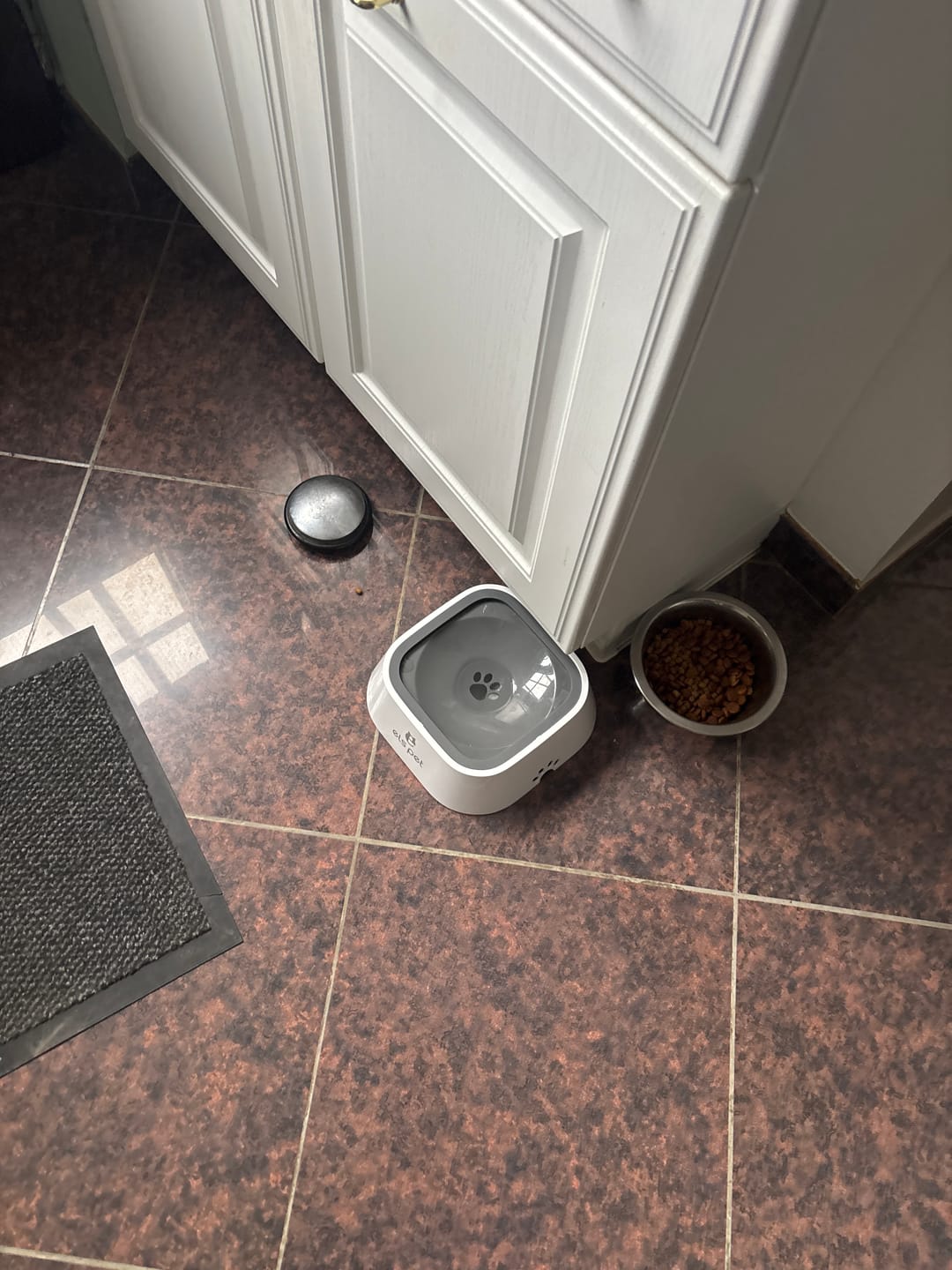 Customer photo review of Gamelle anti éclaboussure - Zero Splash
