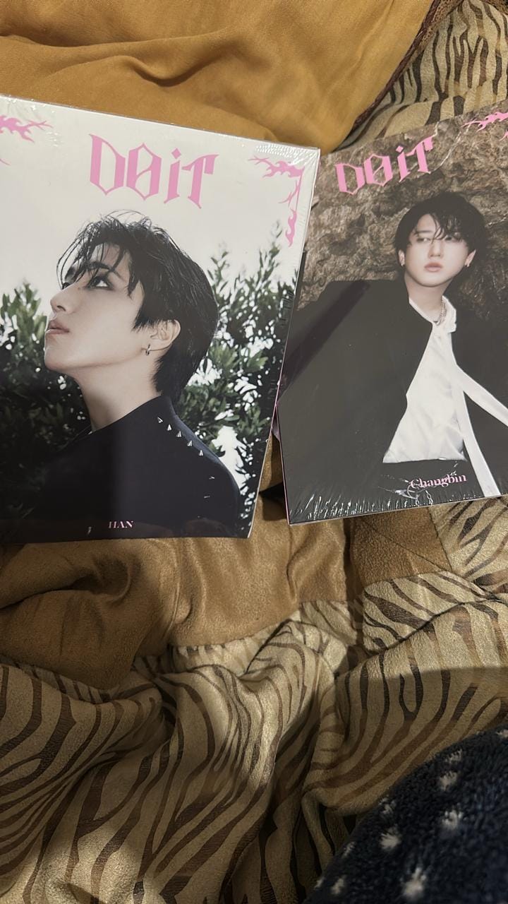 Customer photo review of STRAY KIDS - DO IT SKZ IT TAPE ALBUM ACCORDION VER RANDOM