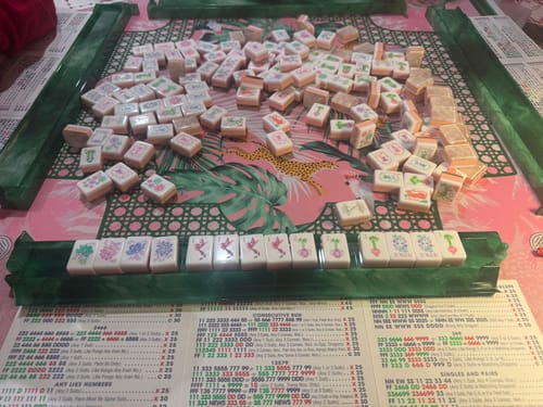 Customer photo review of Palm Royale Mat