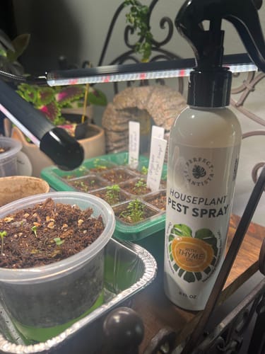 Customer's Houseplant Pest Spray on a shelf next to small seedlings under a grow light.