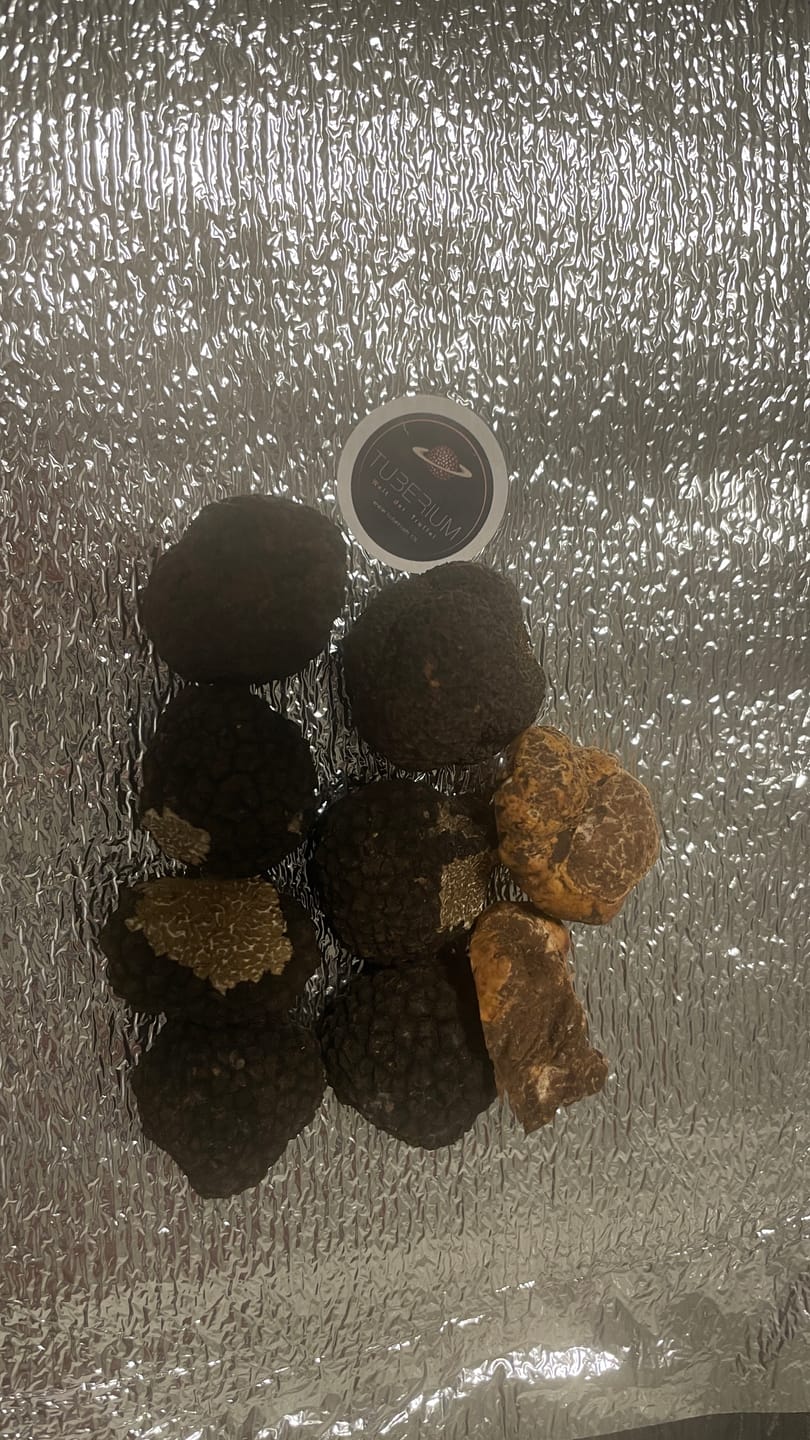 Customer photo review of Tuber Melanosporum - Périgord Trüffel - Nero Pregiato