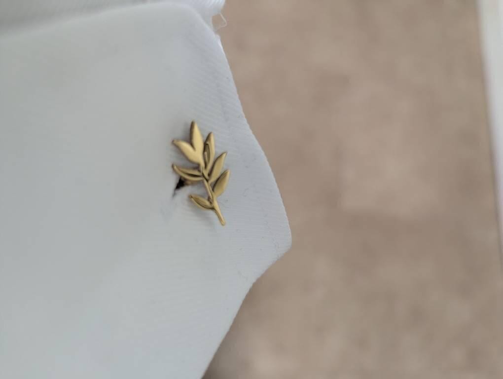 Customer photo review of Olive Branch Cufflinks for Groom & Groomsmen