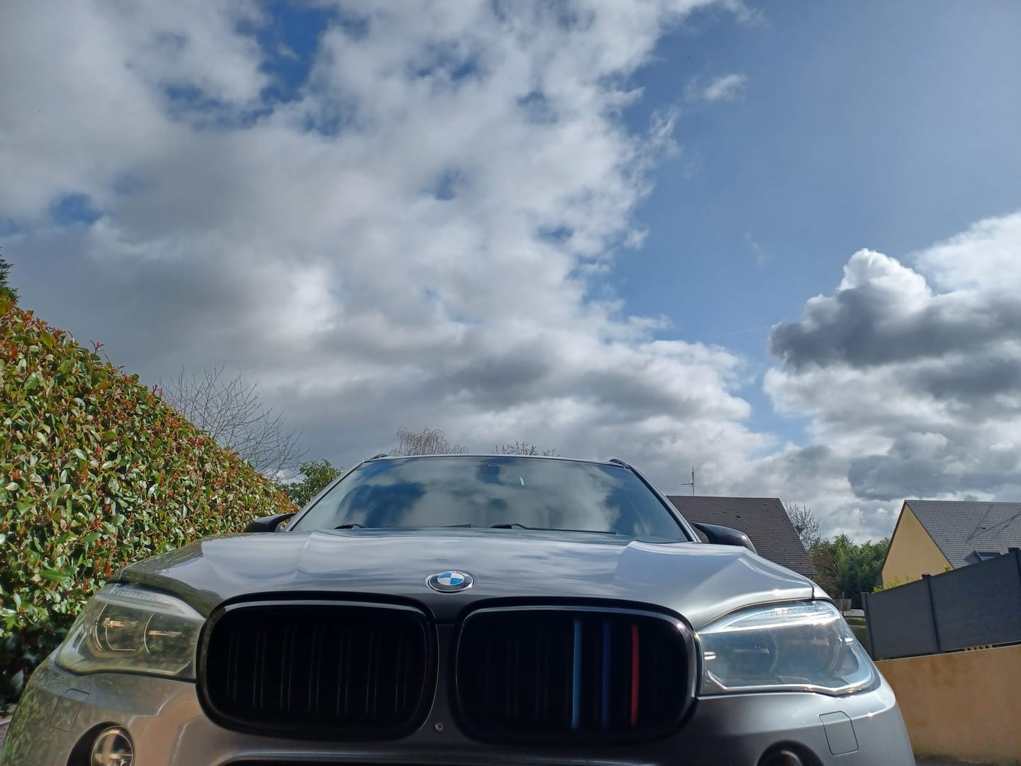 Customer photo review of Bandes M Calandre BMW