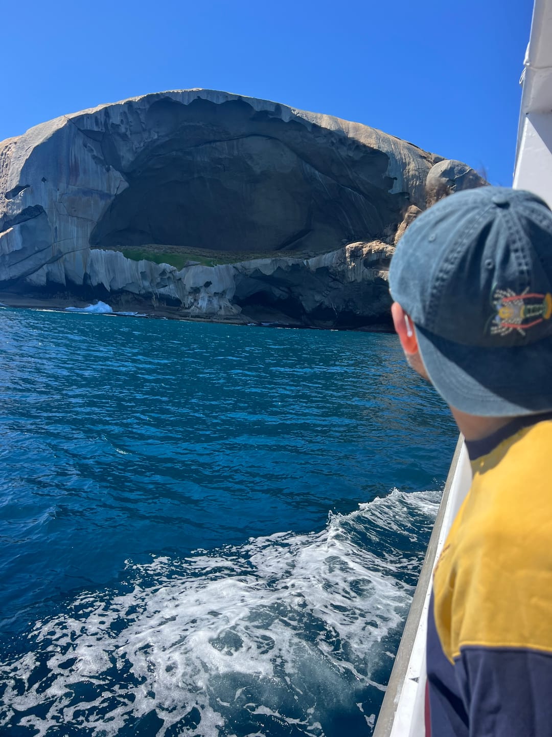 Customer photo review of Tropical Rock Lobster Lid