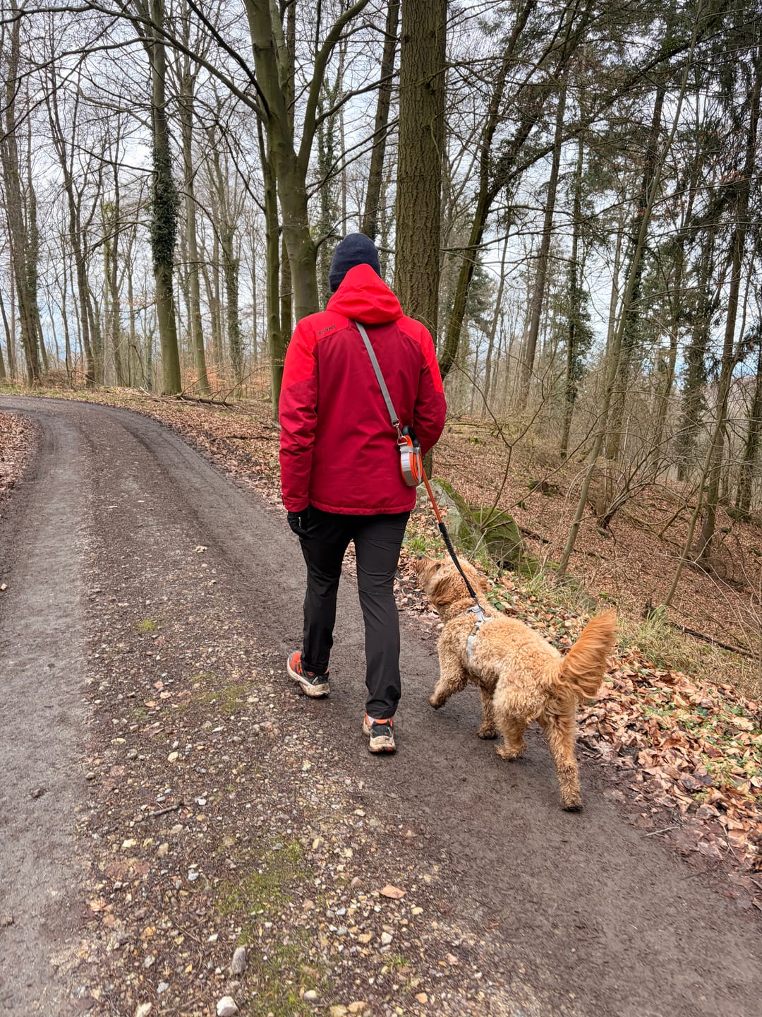 Customer photo review of Halfter  |  XS - L | inkl. 3-in-1 Hundeleine