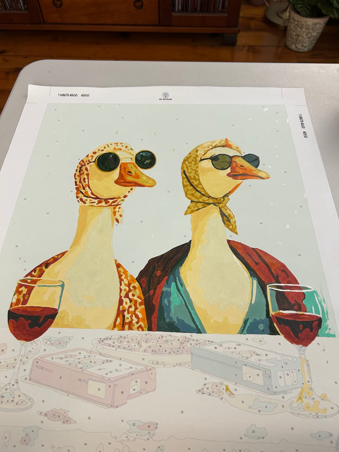 Customer photo review of Goosips | Paint by Number