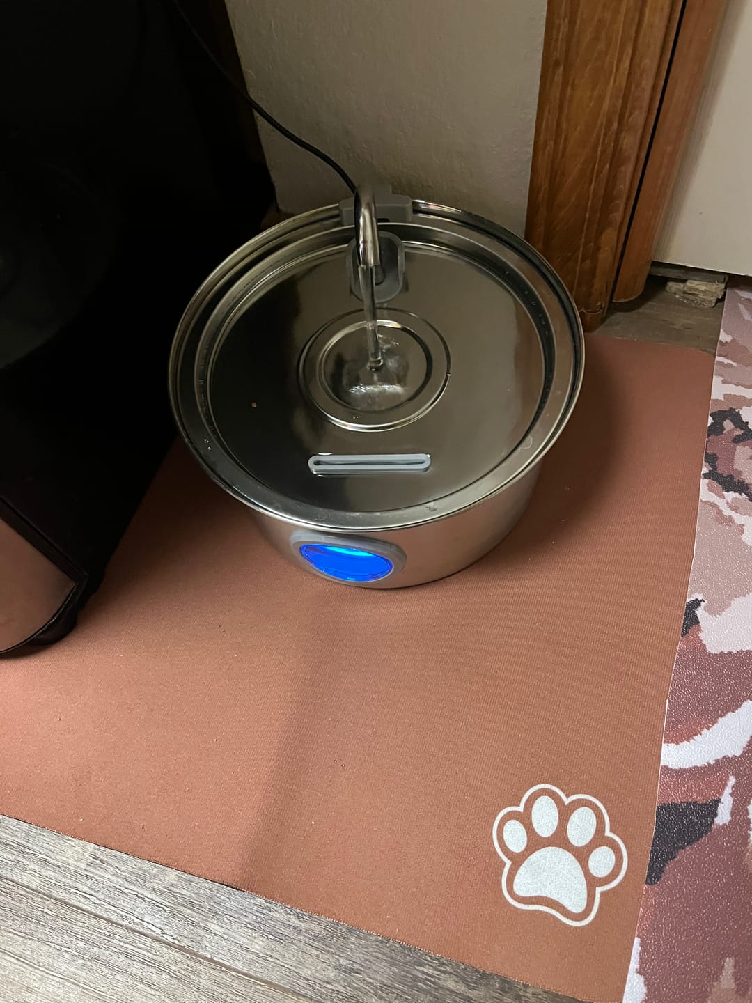 Customer photo review of Pawdrate™ Filtered Water Fountain